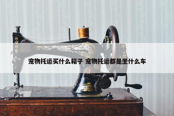 宠物托运买什么箱子 宠物托运都是坐什么车