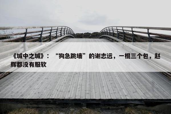 《城中之城》：“狗急跳墙”的谢志远，一棍三个包，赵辉都没有服软