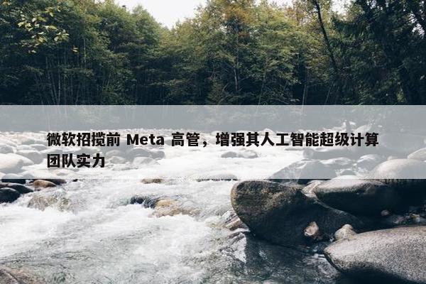 微软招揽前 Meta 高管，增强其人工智能超级计算团队实力