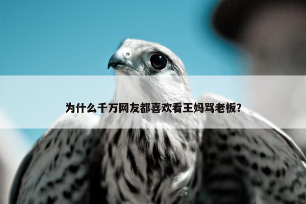 为什么千万网友都喜欢看王妈骂老板？