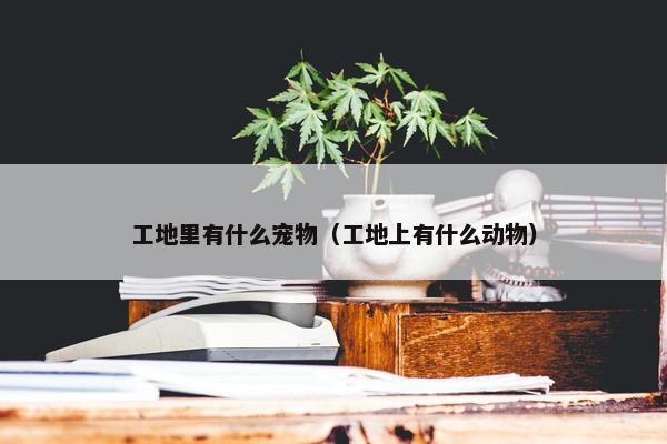 工地里有什么宠物（工地上有什么动物）