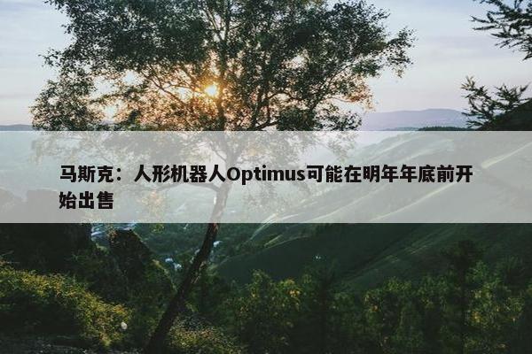 马斯克：人形机器人Optimus可能在明年年底前开始出售