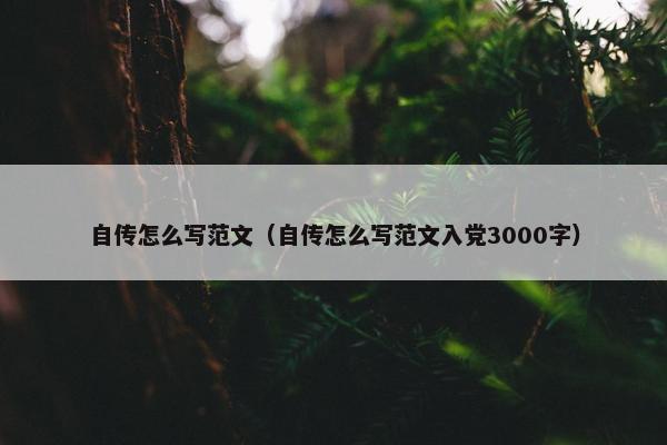 自传怎么写范文（自传怎么写范文入党3000字）