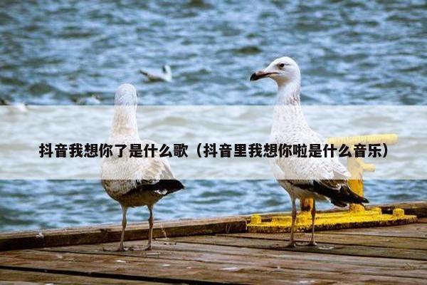 抖音我想你了是什么歌（抖音里我想你啦是什么音乐）