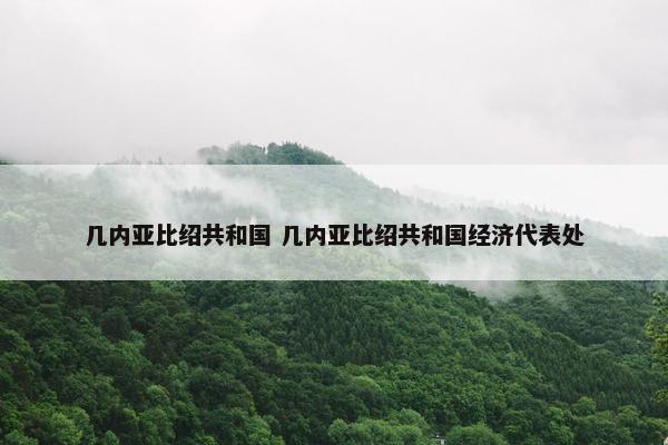 几内亚比绍共和国 几内亚比绍共和国经济代表处