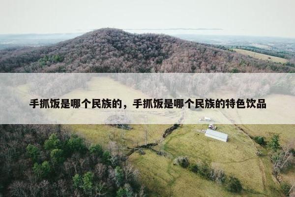 手抓饭是哪个民族的，手抓饭是哪个民族的特色饮品