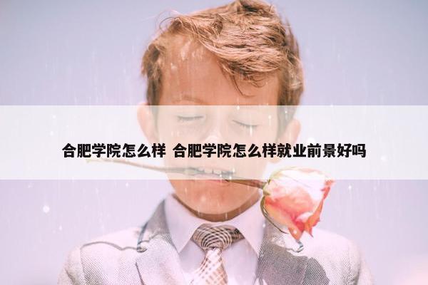 合肥学院怎么样 合肥学院怎么样就业前景好吗