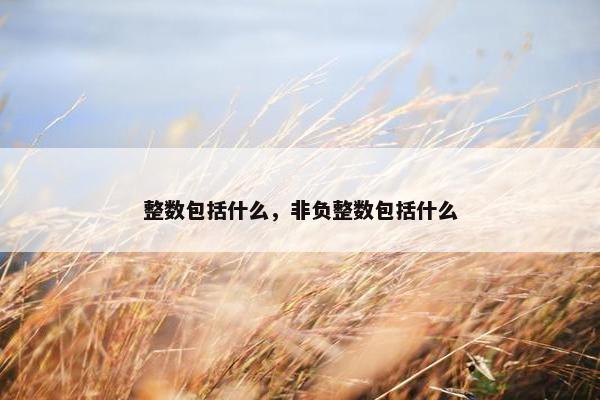 整数包括什么，非负整数包括什么