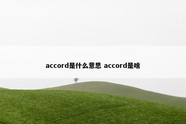 accord是什么意思 accord是啥