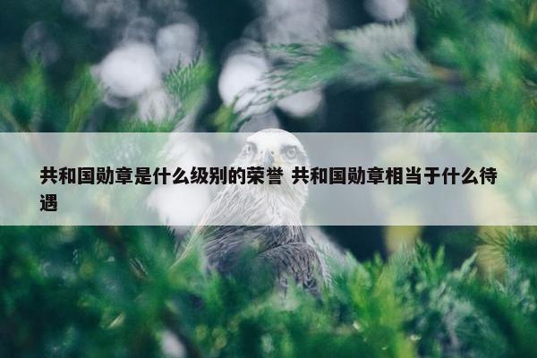 共和国勋章是什么级别的荣誉 共和国勋章相当于什么待遇