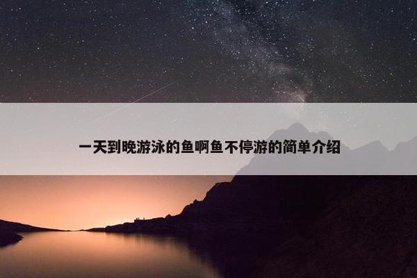 一天到晚游泳的鱼啊鱼不停游的简单介绍