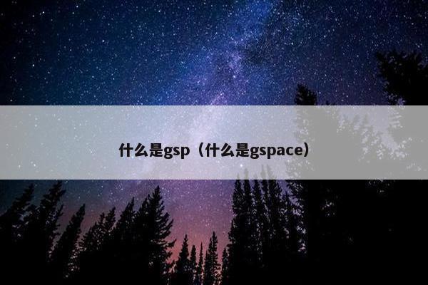 什么是gsp（什么是gspace）