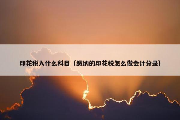 印花税入什么科目（缴纳的印花税怎么做会计分录）