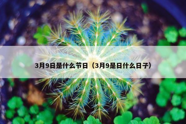 3月9日是什么节日（3月9是日什么日子）