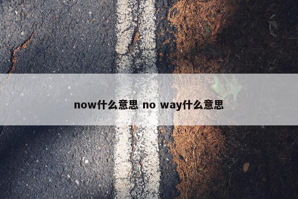 now什么意思 no way什么意思