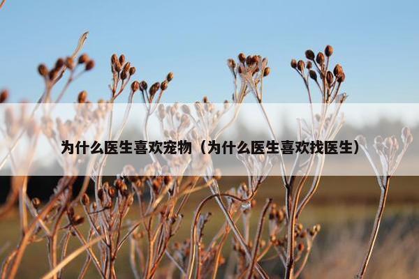 为什么医生喜欢宠物（为什么医生喜欢找医生）