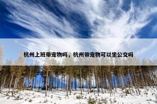 杭州上班带宠物吗，杭州带宠物可以坐公交吗