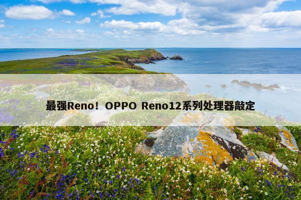 最强Reno！OPPO Reno12系列处理器敲定