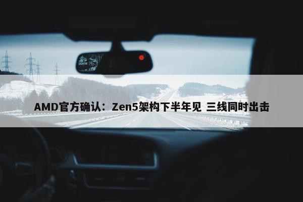 AMD官方确认：Zen5架构下半年见 三线同时出击