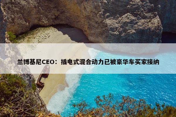 兰博基尼CEO：插电式混合动力已被豪华车买家接纳