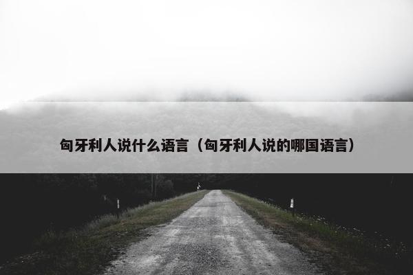 匈牙利人说什么语言（匈牙利人说的哪国语言）