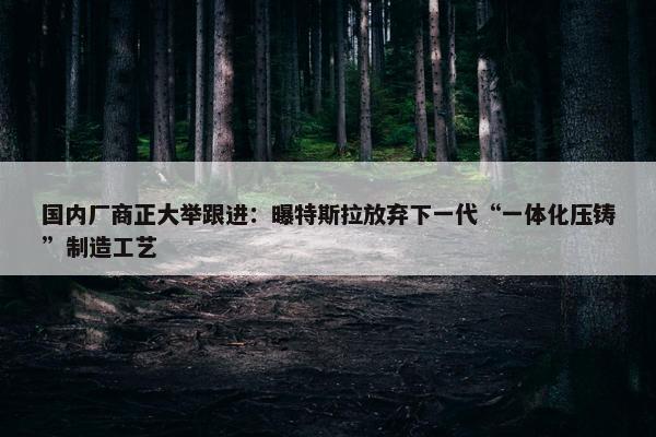 国内厂商正大举跟进：曝特斯拉放弃下一代“一体化压铸”制造工艺