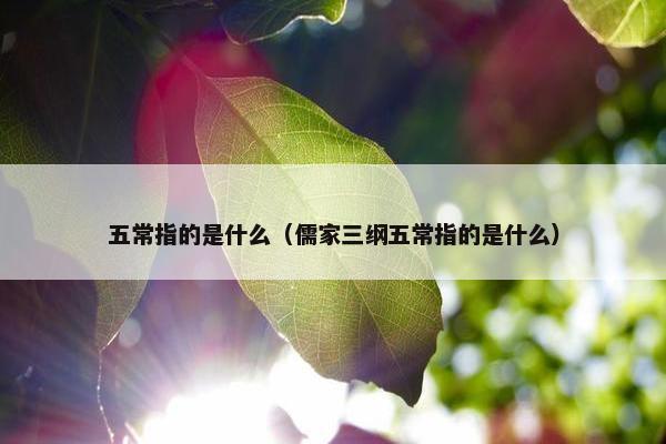 五常指的是什么（儒家三纲五常指的是什么）