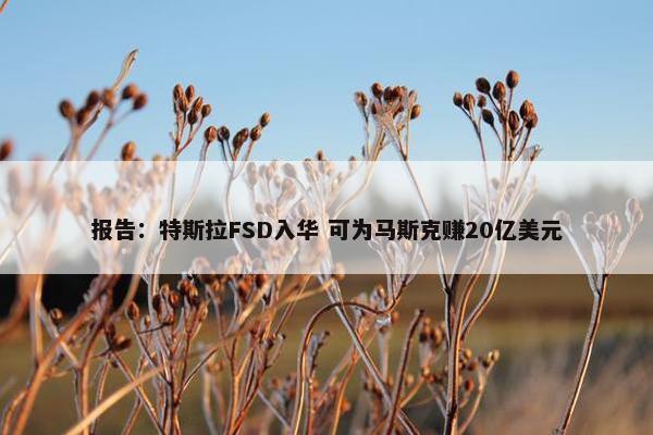 报告：特斯拉FSD入华 可为马斯克赚20亿美元