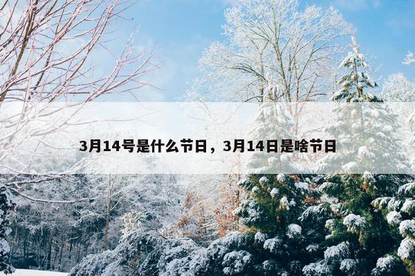 3月14号是什么节日，3月14日是啥节日