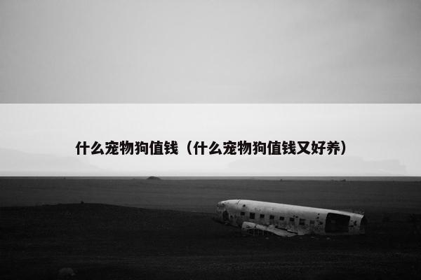 什么宠物狗值钱（什么宠物狗值钱又好养）