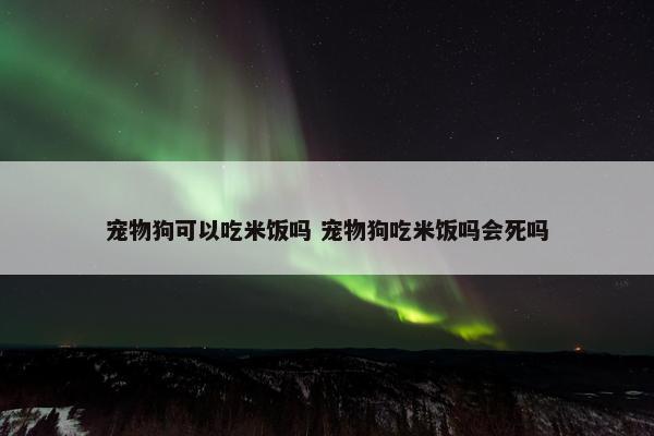 宠物狗可以吃米饭吗 宠物狗吃米饭吗会死吗