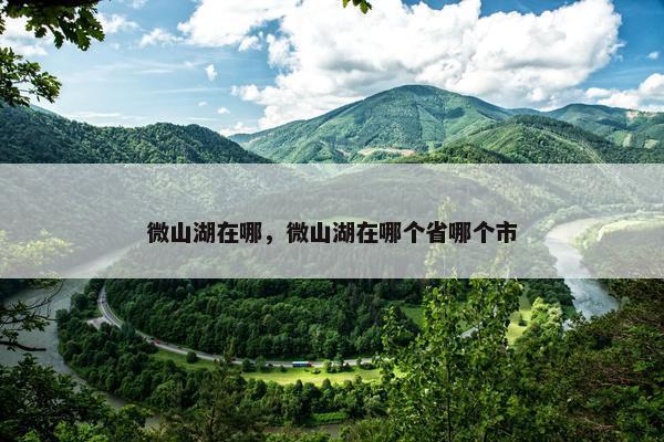 微山湖在哪，微山湖在哪个省哪个市