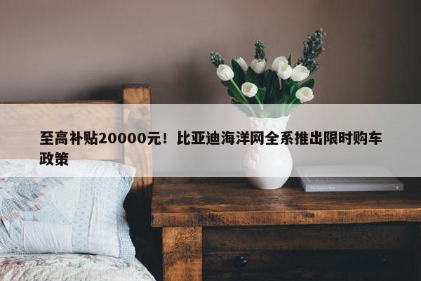 至高补贴20000元！比亚迪海洋网全系推出限时购车政策