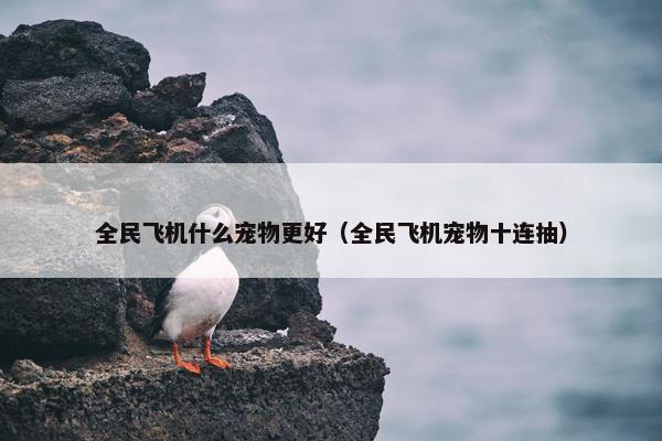 全民飞机什么宠物更好（全民飞机宠物十连抽）