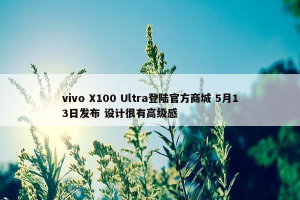 vivo X100 Ultra登陆官方商城 5月13日发布 设计很有高级感