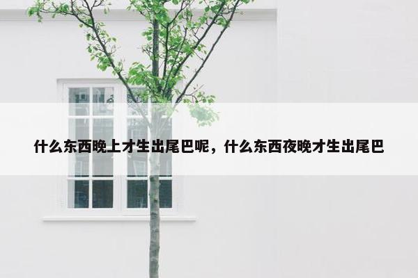 什么东西晚上才生出尾巴呢，什么东西夜晚才生出尾巴