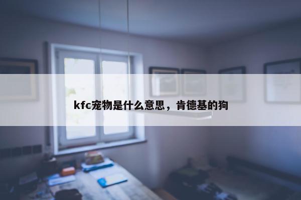 kfc宠物是什么意思，肯德基的狗