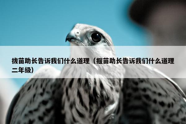 拔苗助长告诉我们什么道理（揠苗助长告诉我们什么道理二年级）