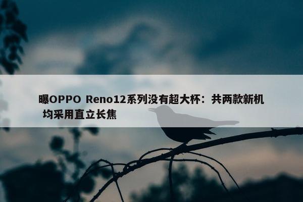 曝OPPO Reno12系列没有超大杯：共两款新机 均采用直立长焦