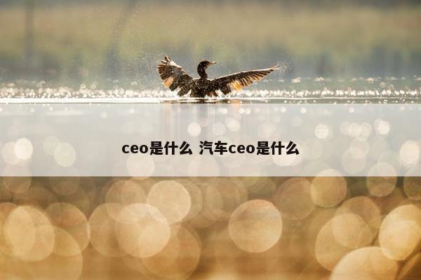 ceo是什么 汽车ceo是什么