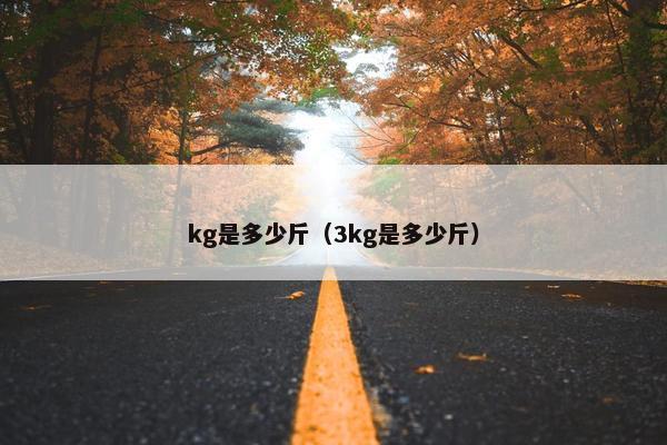 kg是多少斤（3kg是多少斤）