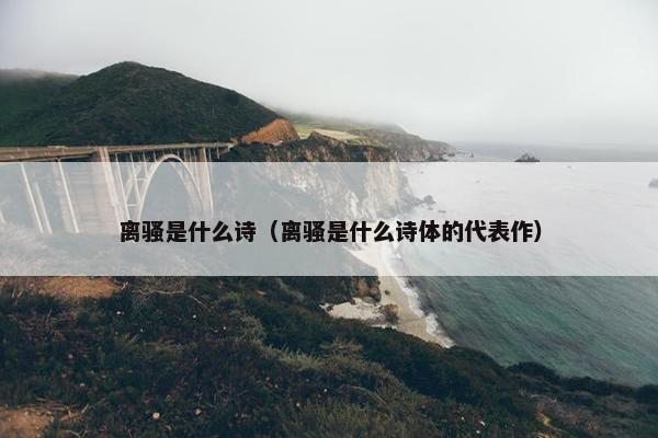 离骚是什么诗（离骚是什么诗体的代表作）