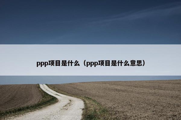 ppp项目是什么（ppp项目是什么意思）