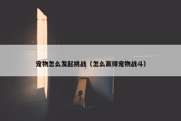 宠物怎么发起挑战（怎么赢得宠物战斗）