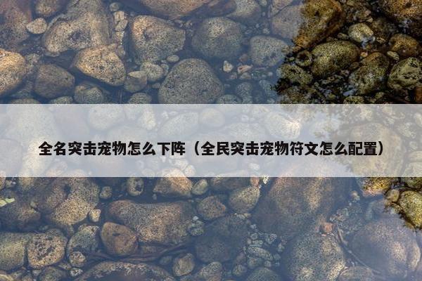 全名突击宠物怎么下阵（全民突击宠物符文怎么配置）