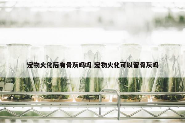 宠物火化后有骨灰吗吗 宠物火化可以留骨灰吗