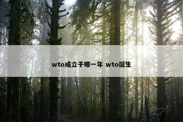 wto成立于哪一年 wto诞生