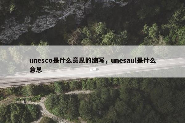 unesco是什么意思的缩写，unesaul是什么意思