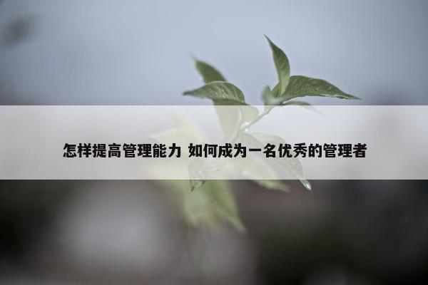 怎样提高管理能力 如何成为一名优秀的管理者