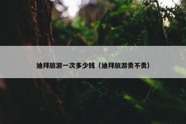 迪拜旅游一次多少钱（迪拜旅游贵不贵）